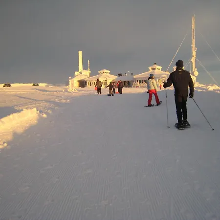 Saariselaen Marjamajat Sopuli * 萨利色尔卡