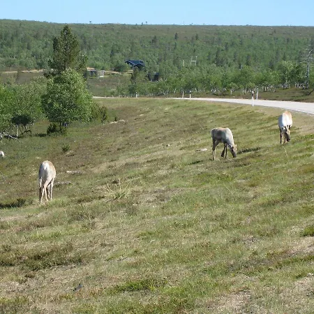 Saariselaen Marjamajat Sopuli Apartmán