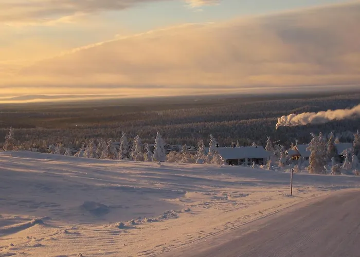Saariselaen Marjamajat Sopuli