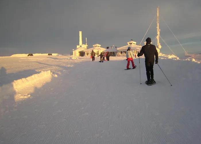 Saariselaen Marjamajat Sopuli * Saariselkä