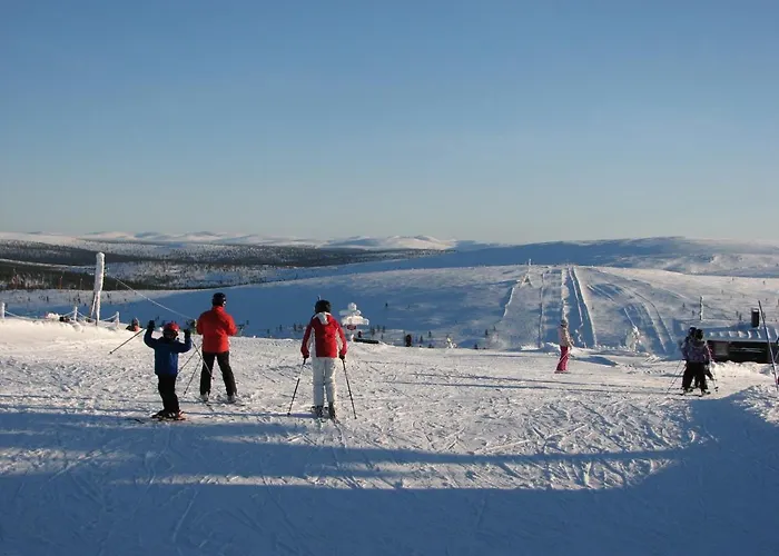 Saariselaen Marjamajat Sopuli *