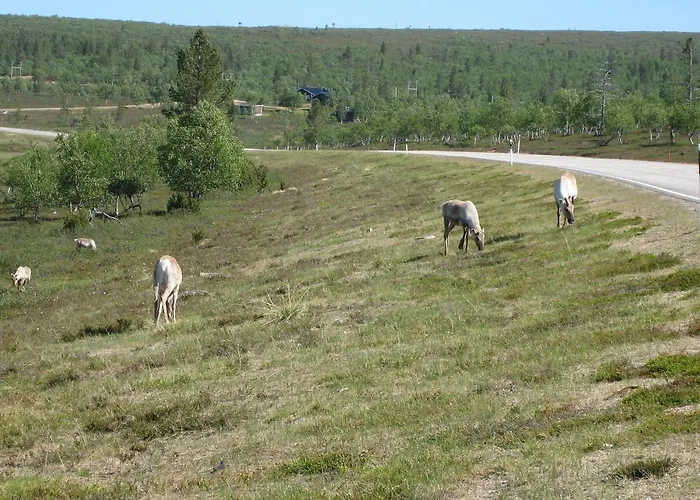 Saariselaen Marjamajat Sopuli Appartement